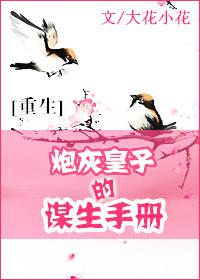 炮灰皇子的谋生手册作者