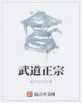 武道宗师什么意思