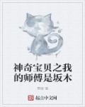 神奇宝贝之我的师傅是坂木txt