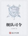 舰队司令是什么级别的