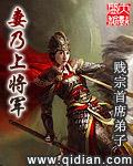 妻乃上将军女主人物介绍