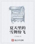 夏天的雪是什么歌