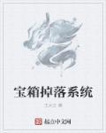 宝箱怪掉落什么