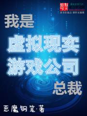 我是虚拟现实游戏公司总裁精校版