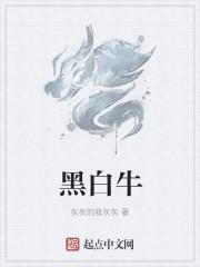 黑白牛角是什么生肖