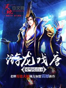 游龙戏唐epub