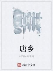 唐继尧将军的一生简历