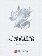 万界武学系统