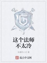 这个法师很危险起点中文网