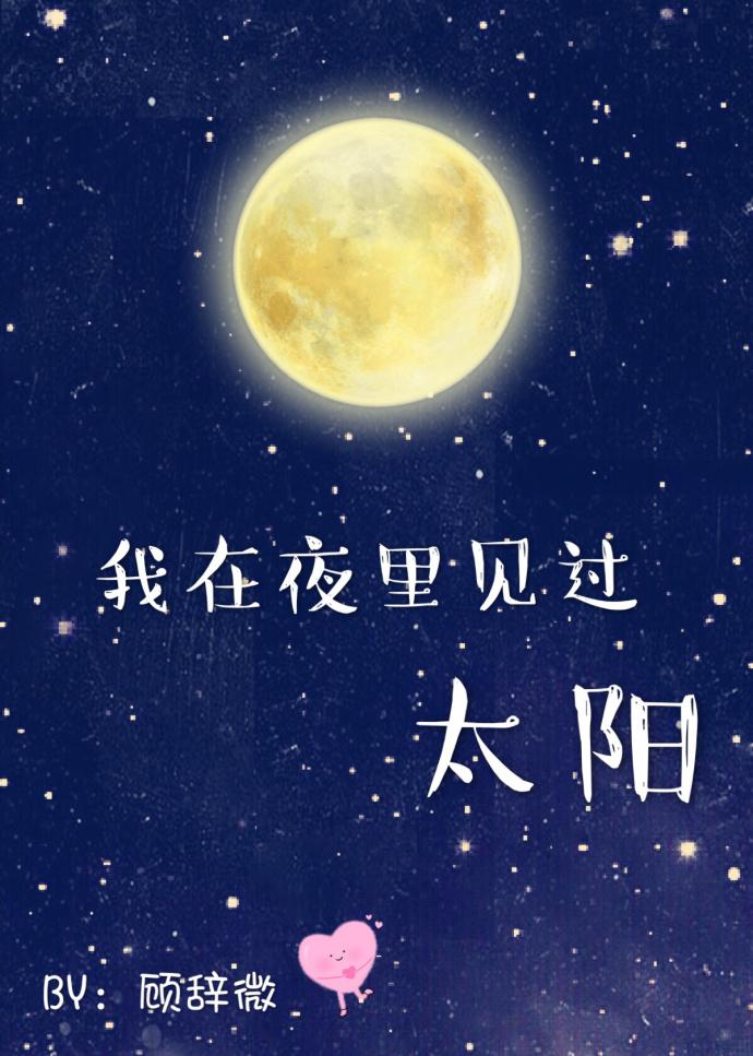 我在夜里见过太阳盘搜搜