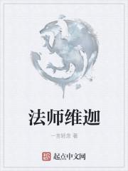 法师维迦有声