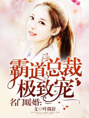 名门暖婚霸道总裁极致宠结局