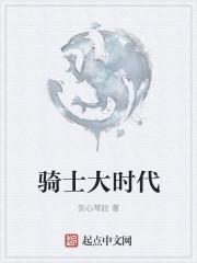 骑士时代游戏