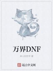 万界dnf系统