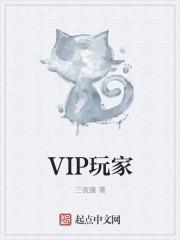 vip玩家与普通玩家动图