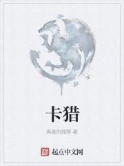 卡猎车手无双僵尸版