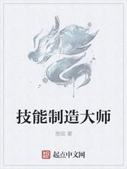 技能制造大师免费阅读