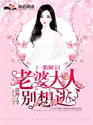 一一胎两宝老婆大人别想逃