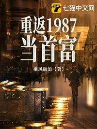 重返1987当首富 第33章