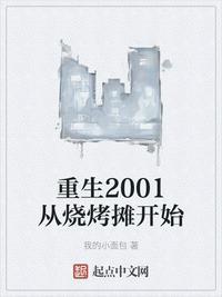 重生到2001年的