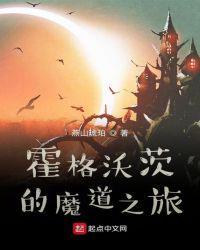 霍格沃茨的魔道之旅全文阅读