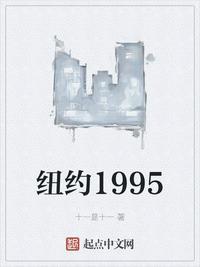 纽约1995讲的什么