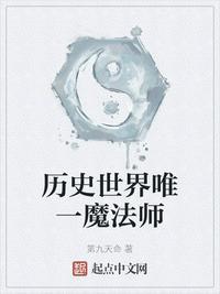 历史世界唯一魔法师快眼看书