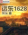 远东1628类似