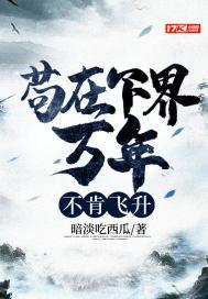 飞升即无敌