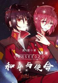 高达seed和seed destiny