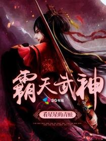 霸天武神txt