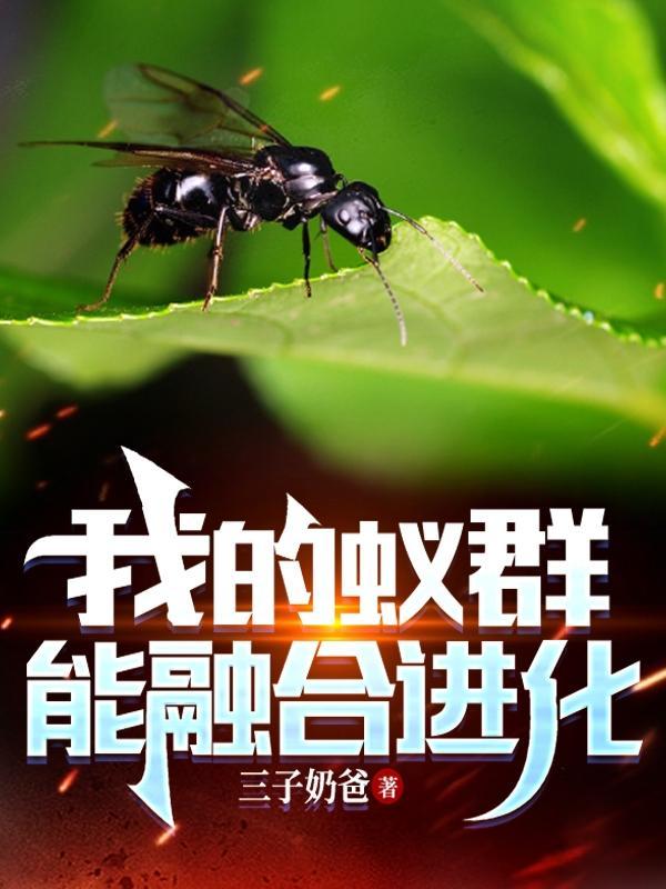 从一条河开始的无限进化