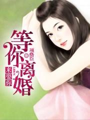 等她离婚娶她