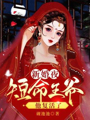 新婚夜王爷宠侧妃