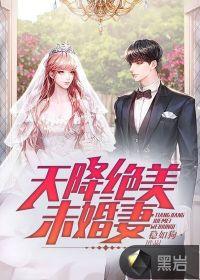 天降绝美未婚妻稳如狗