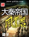 大秦帝国风云录0.1这VIP价格表