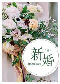 新婚重生全文免费阅读