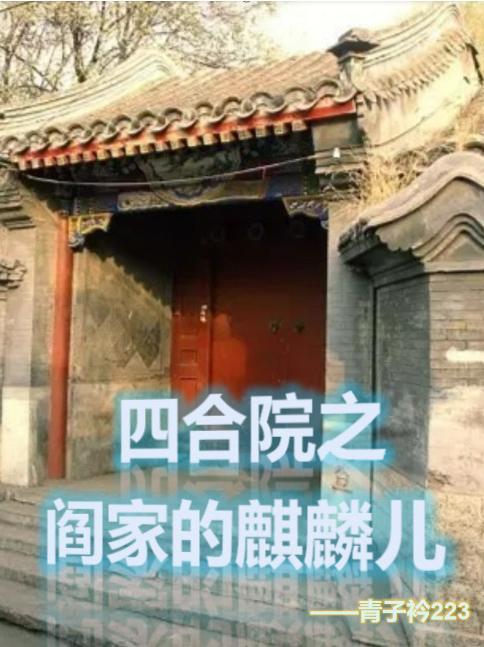 四合院我是闫解成