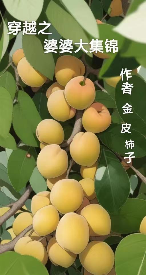 婆婆的穿越之路