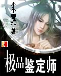 极品鉴定师无删减