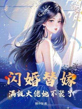 闪婚到大佬