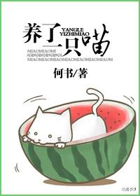 我想养一只小猫