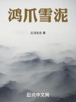 飞鸿踏雪泥比喻什么