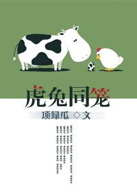 虎兔龙合作的财运