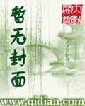 从陈桥到崖山pdf