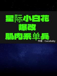 星际小白价格