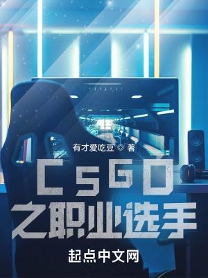 csgo之职业选手TXT全文