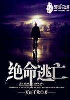 绝命逃亡2017