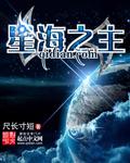 星海之主大结局