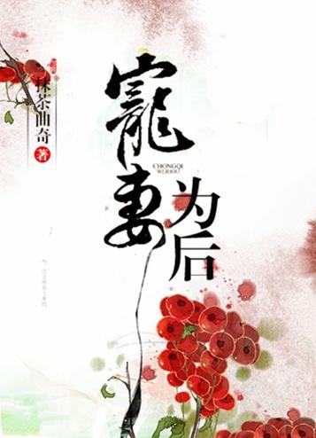 宠妻为后抹茶曲奇百度